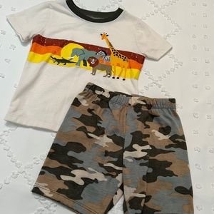 Toddler Animal Zoo Set